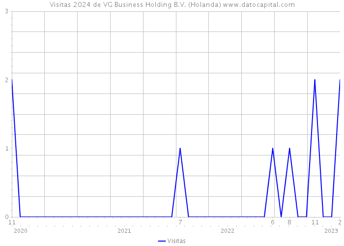 Visitas 2024 de VG Business Holding B.V. (Holanda) 