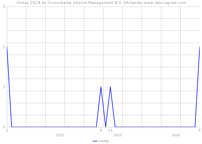 Visitas 2024 de Oosterkamp Interim Management B.V. (Holanda) 