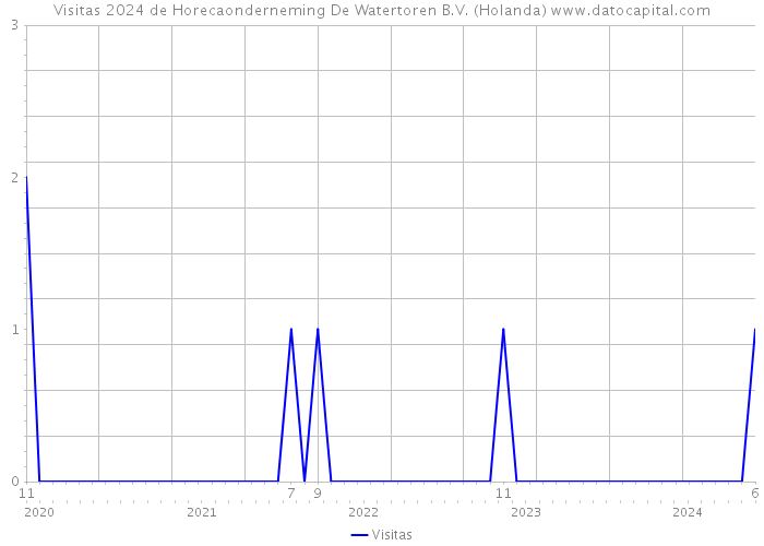 Visitas 2024 de Horecaonderneming De Watertoren B.V. (Holanda) 