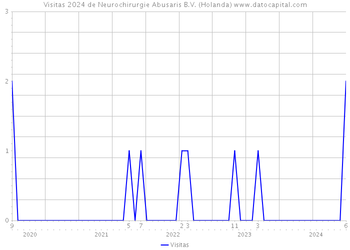 Visitas 2024 de Neurochirurgie Abusaris B.V. (Holanda) 