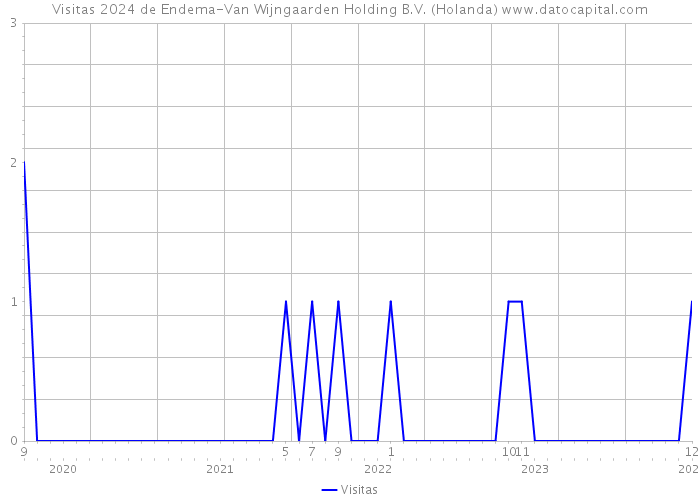 Visitas 2024 de Endema-Van Wijngaarden Holding B.V. (Holanda) 
