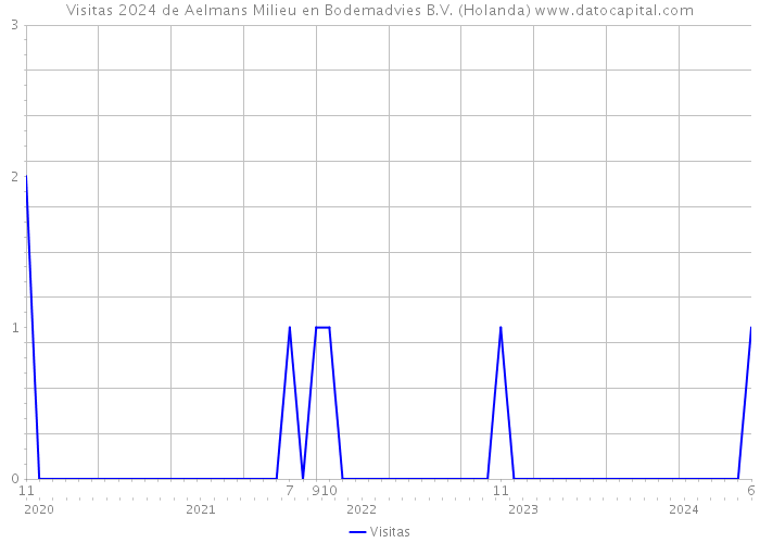 Visitas 2024 de Aelmans Milieu en Bodemadvies B.V. (Holanda) 