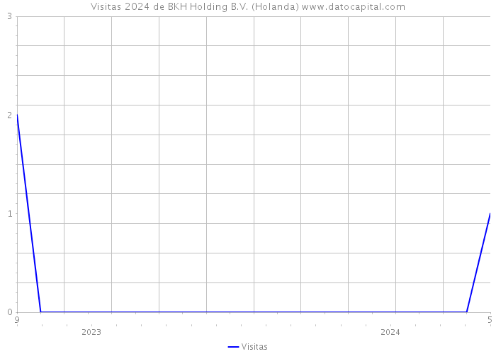 Visitas 2024 de BKH Holding B.V. (Holanda) 