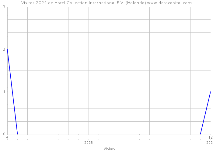 Visitas 2024 de Hotel Collection International B.V. (Holanda) 