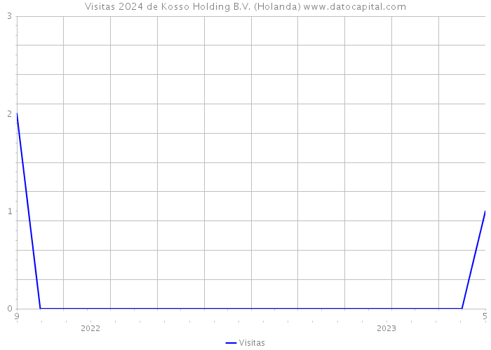 Visitas 2024 de Kosso Holding B.V. (Holanda) 