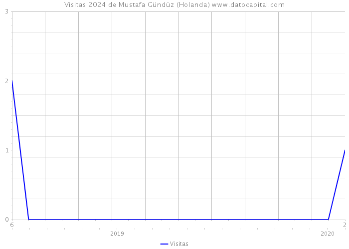 Visitas 2024 de Mustafa Gündüz (Holanda) 