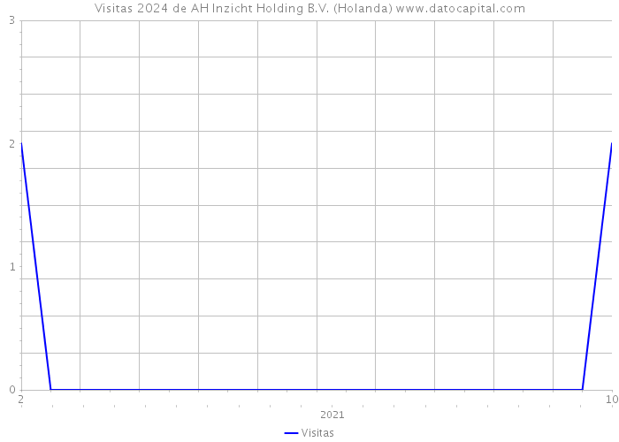 Visitas 2024 de AH Inzicht Holding B.V. (Holanda) 