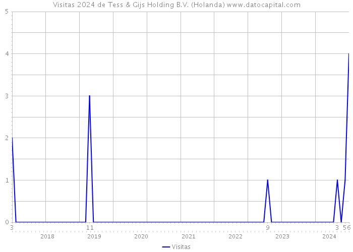 Visitas 2024 de Tess & Gijs Holding B.V. (Holanda) 