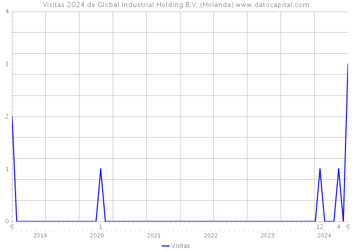 Visitas 2024 de Global Industrial Holding B.V. (Holanda) 