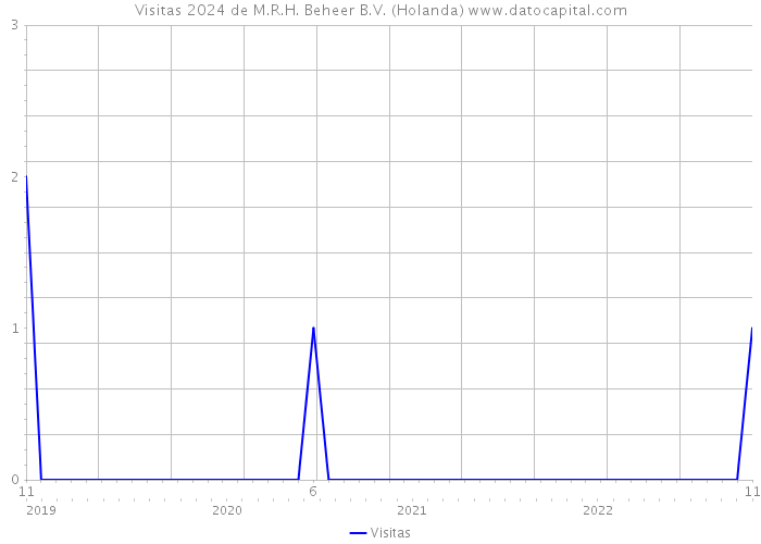 Visitas 2024 de M.R.H. Beheer B.V. (Holanda) 