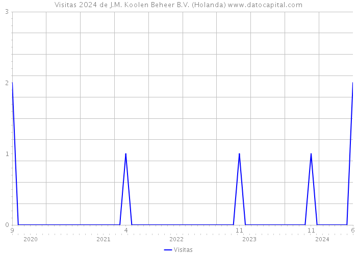 Visitas 2024 de J.M. Koolen Beheer B.V. (Holanda) 