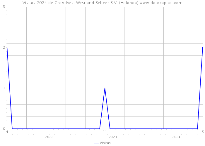 Visitas 2024 de Grondvest Westland Beheer B.V. (Holanda) 