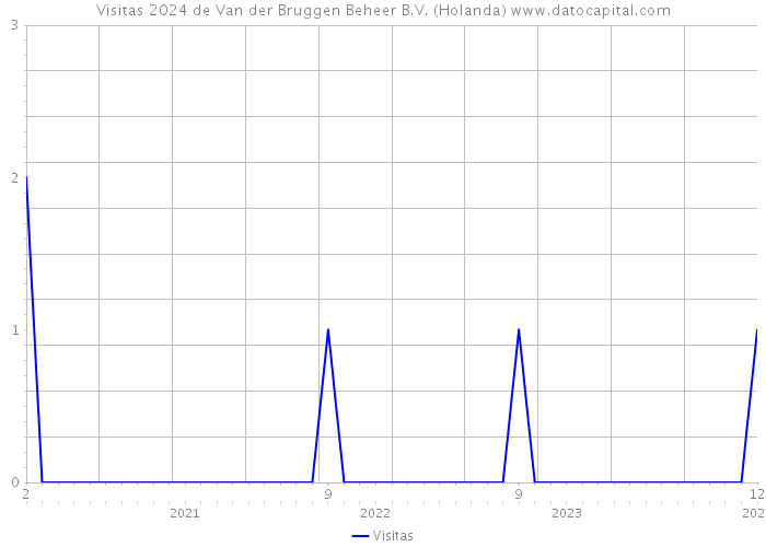 Visitas 2024 de Van der Bruggen Beheer B.V. (Holanda) 