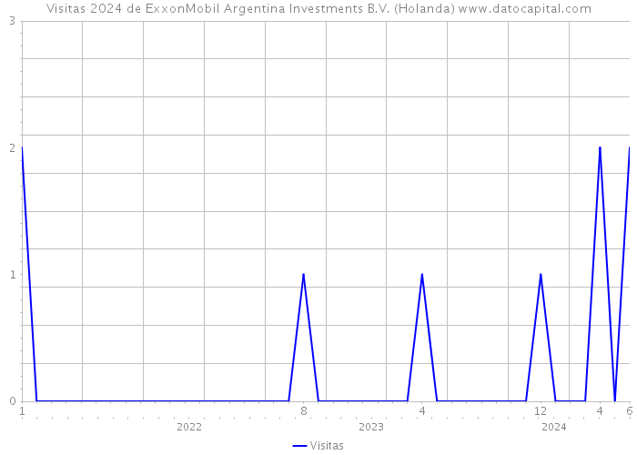 Visitas 2024 de ExxonMobil Argentina Investments B.V. (Holanda) 