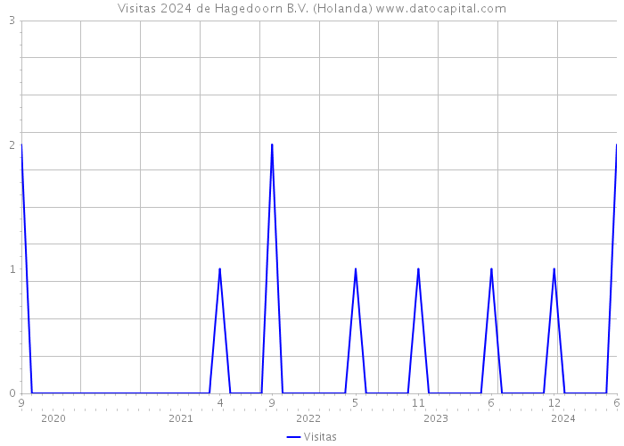 Visitas 2024 de Hagedoorn B.V. (Holanda) 