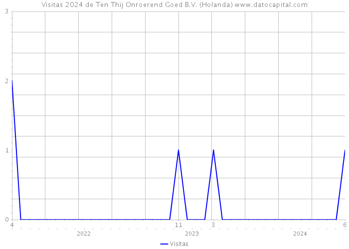 Visitas 2024 de Ten Thij Onroerend Goed B.V. (Holanda) 