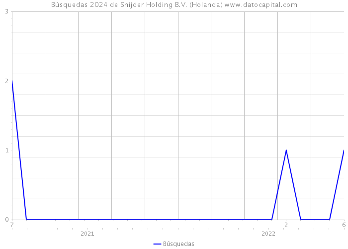 Búsquedas 2024 de Snijder Holding B.V. (Holanda) 