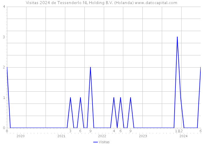 Visitas 2024 de Tessenderlo NL Holding B.V. (Holanda) 