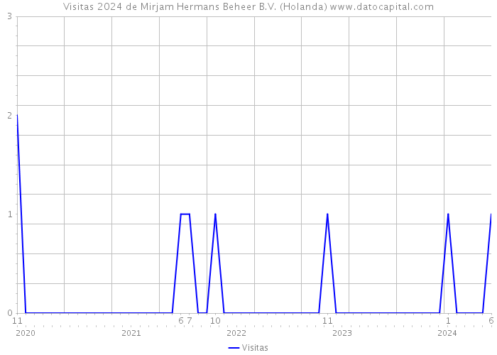 Visitas 2024 de Mirjam Hermans Beheer B.V. (Holanda) 