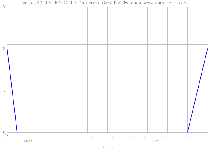 Visitas 2024 de FYSIO plus Onroerend Goed B.V. (Holanda) 