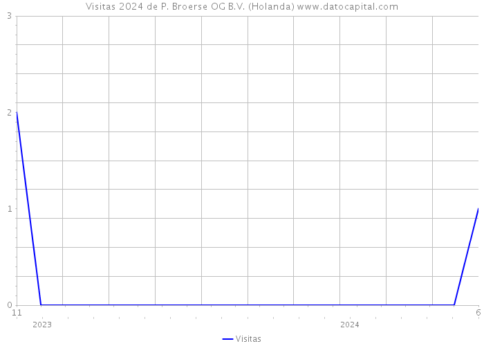 Visitas 2024 de P. Broerse OG B.V. (Holanda) 