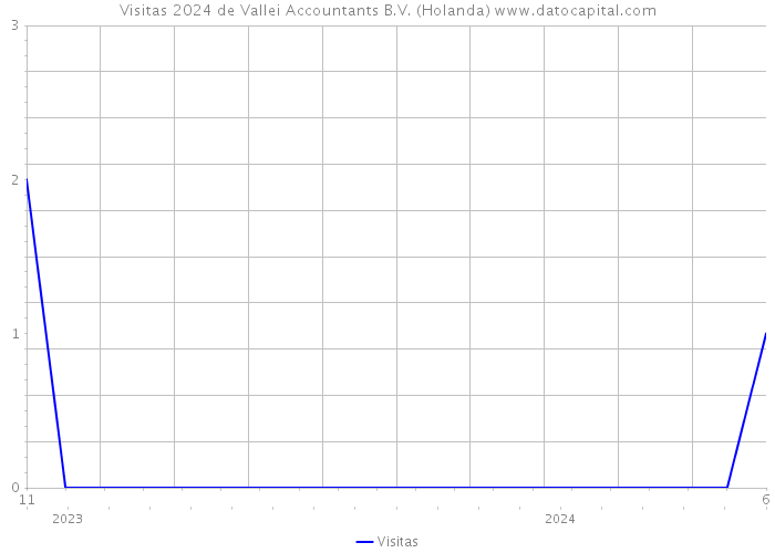 Visitas 2024 de Vallei Accountants B.V. (Holanda) 