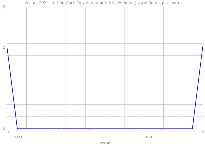 Visitas 2024 de ChiqCare Zorgexploitatie B.V. (Holanda) 