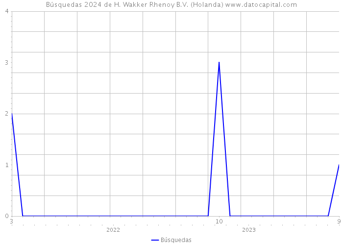 Búsquedas 2024 de H. Wakker Rhenoy B.V. (Holanda) 