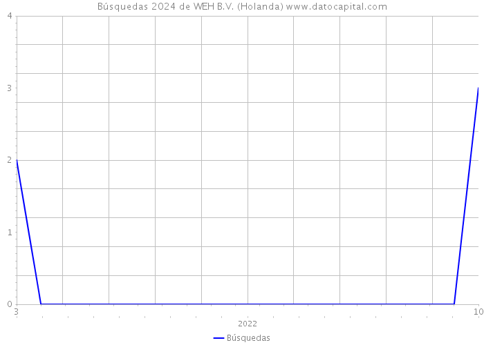 Búsquedas 2024 de WEH B.V. (Holanda) 