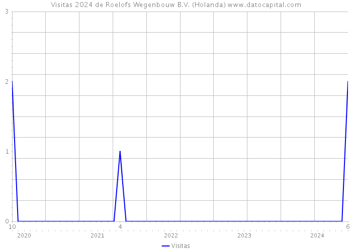 Visitas 2024 de Roelofs Wegenbouw B.V. (Holanda) 