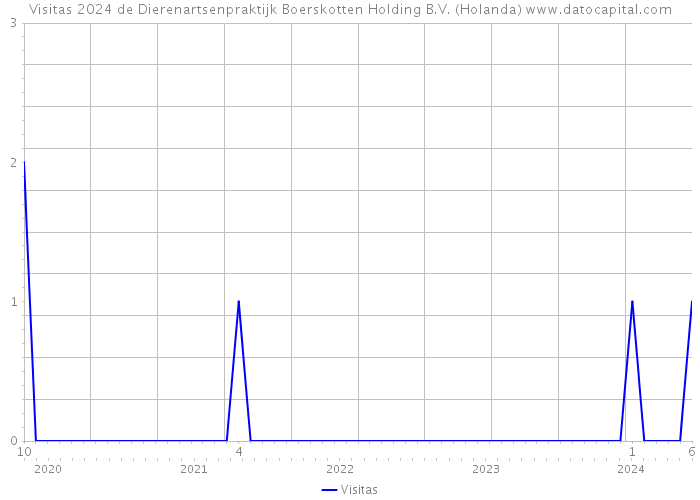 Visitas 2024 de Dierenartsenpraktijk Boerskotten Holding B.V. (Holanda) 