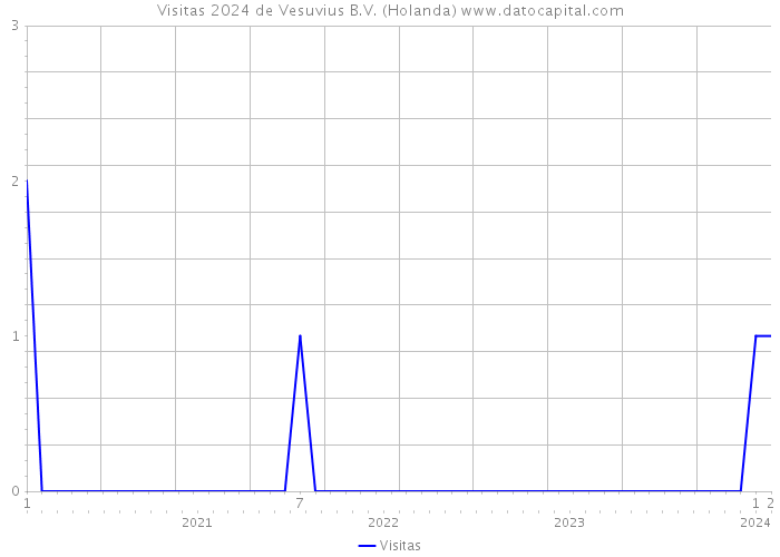 Visitas 2024 de Vesuvius B.V. (Holanda) 