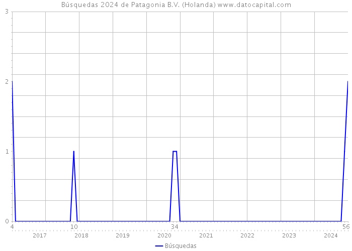 Búsquedas 2024 de Patagonia B.V. (Holanda) 