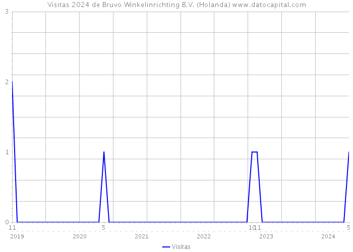 Visitas 2024 de Bruvo Winkelinrichting B.V. (Holanda) 
