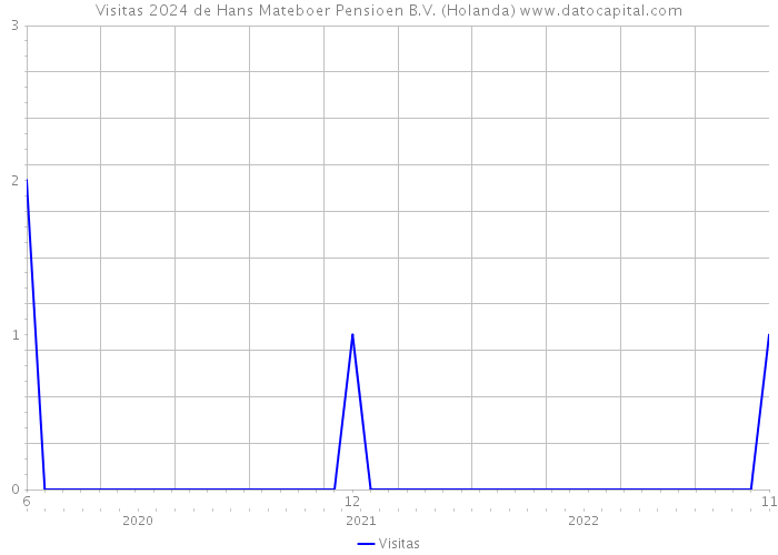 Visitas 2024 de Hans Mateboer Pensioen B.V. (Holanda) 