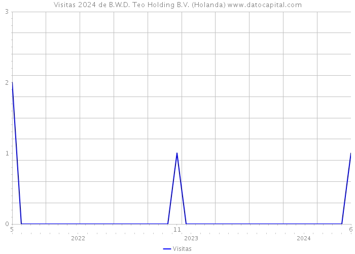 Visitas 2024 de B.W.D. Teo Holding B.V. (Holanda) 