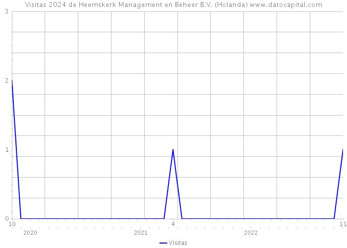 Visitas 2024 de Heemskerk Management en Beheer B.V. (Holanda) 