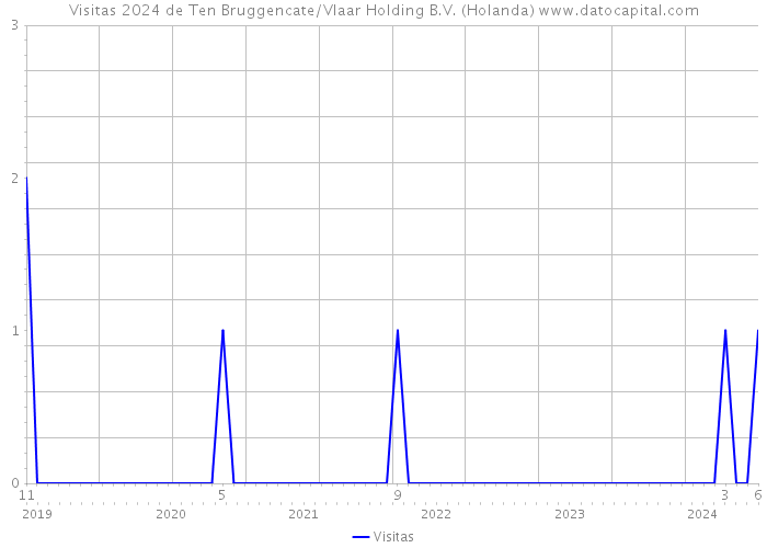 Visitas 2024 de Ten Bruggencate/Vlaar Holding B.V. (Holanda) 