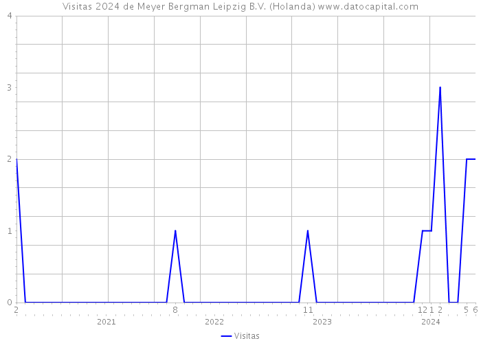 Visitas 2024 de Meyer Bergman Leipzig B.V. (Holanda) 