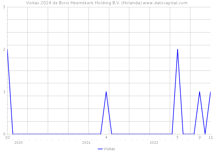 Visitas 2024 de Boris Heemskerk Holding B.V. (Holanda) 