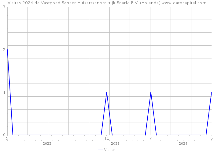 Visitas 2024 de Vastgoed Beheer Huisartsenpraktijk Baarlo B.V. (Holanda) 