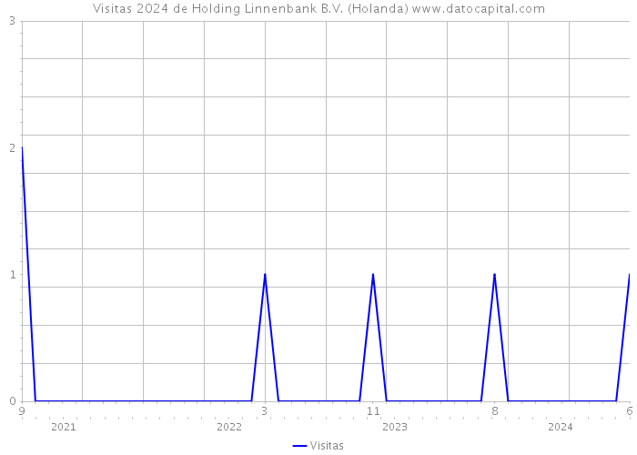 Visitas 2024 de Holding Linnenbank B.V. (Holanda) 