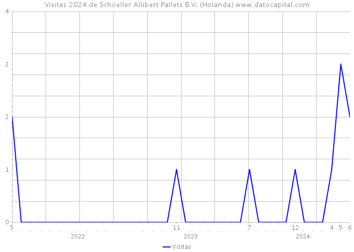 Visitas 2024 de Schoeller Allibert Pallets B.V. (Holanda) 