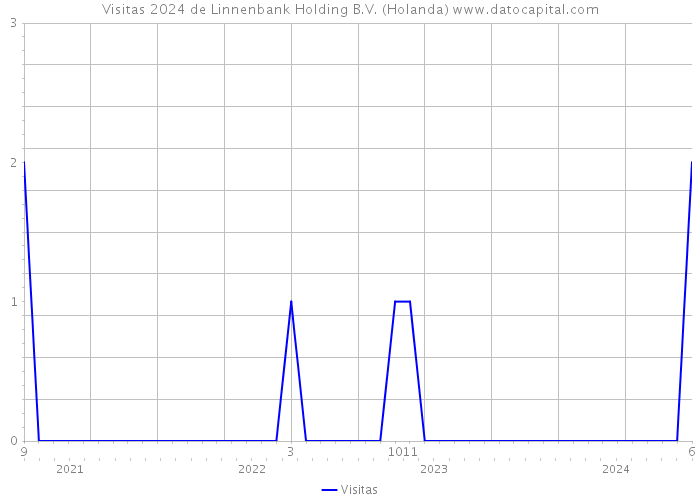 Visitas 2024 de Linnenbank Holding B.V. (Holanda) 