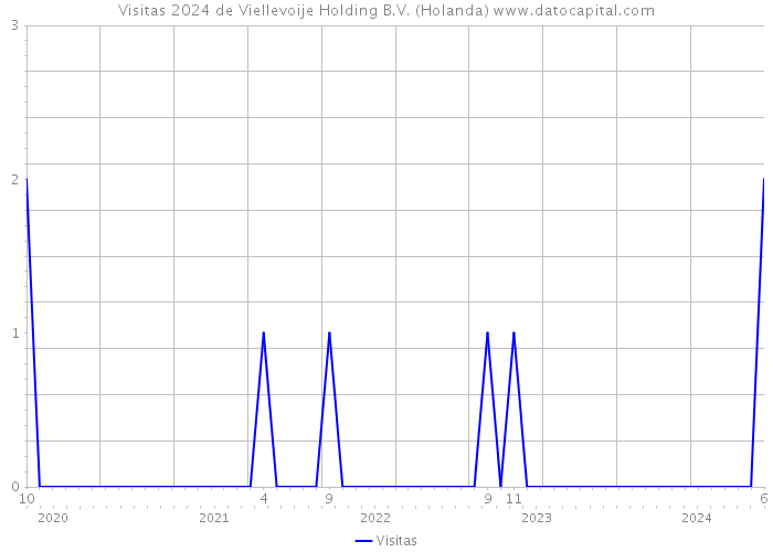 Visitas 2024 de Viellevoije Holding B.V. (Holanda) 
