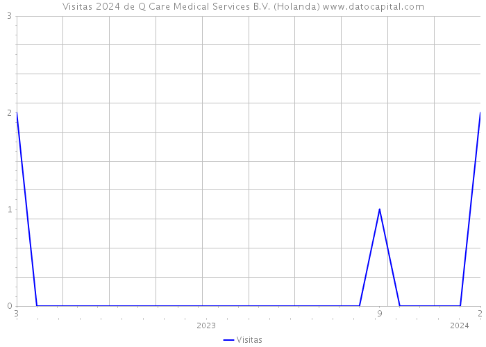 Visitas 2024 de Q Care Medical Services B.V. (Holanda) 