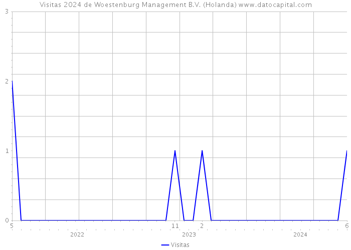 Visitas 2024 de Woestenburg Management B.V. (Holanda) 