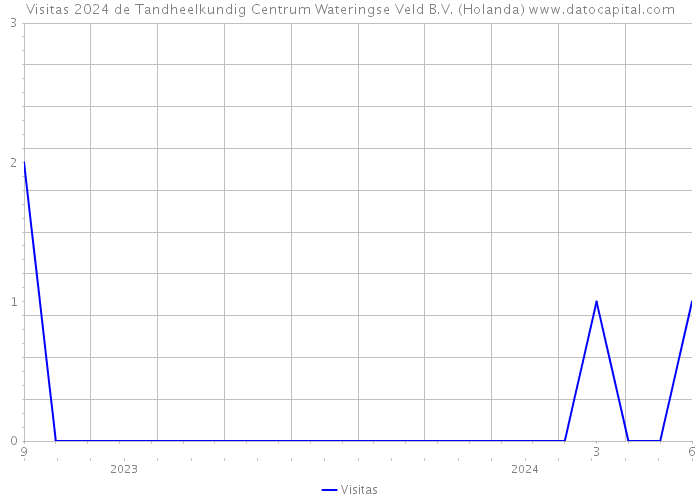 Visitas 2024 de Tandheelkundig Centrum Wateringse Veld B.V. (Holanda) 