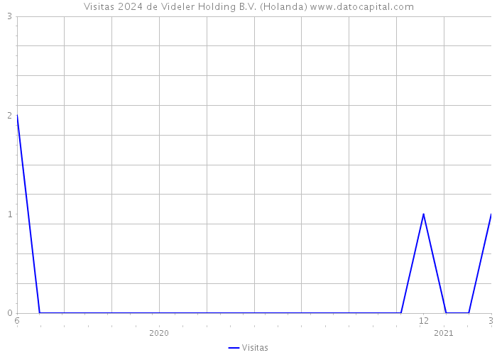 Visitas 2024 de Videler Holding B.V. (Holanda) 