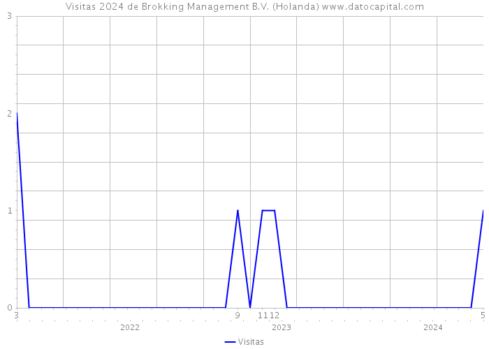 Visitas 2024 de Brokking Management B.V. (Holanda) 